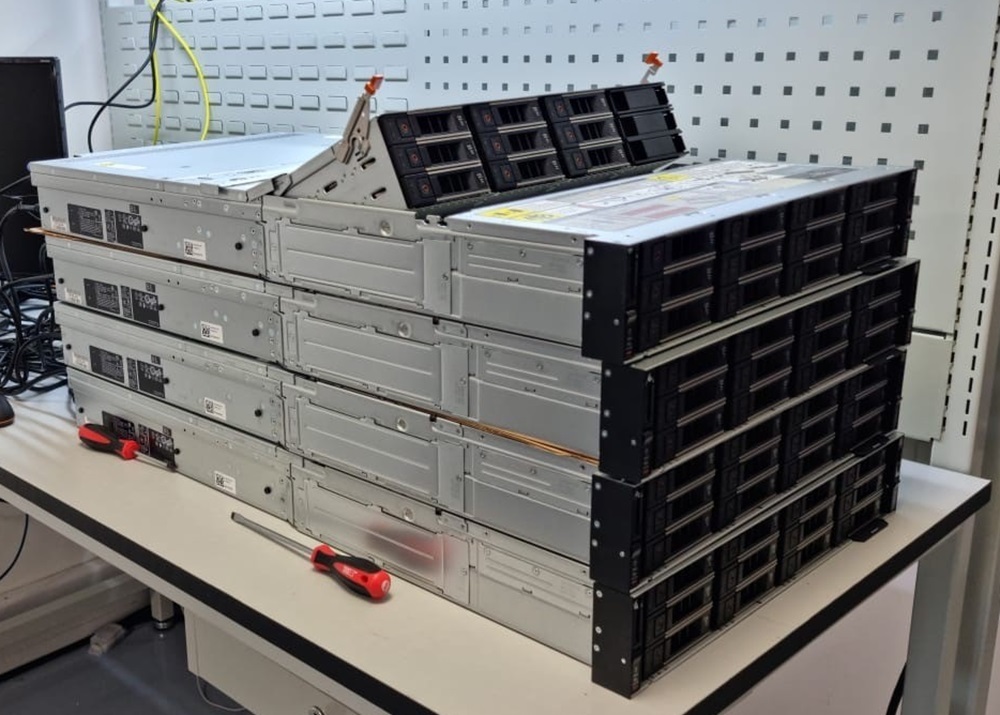 1000 Dell P1